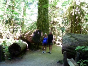 Cathedral Grove4